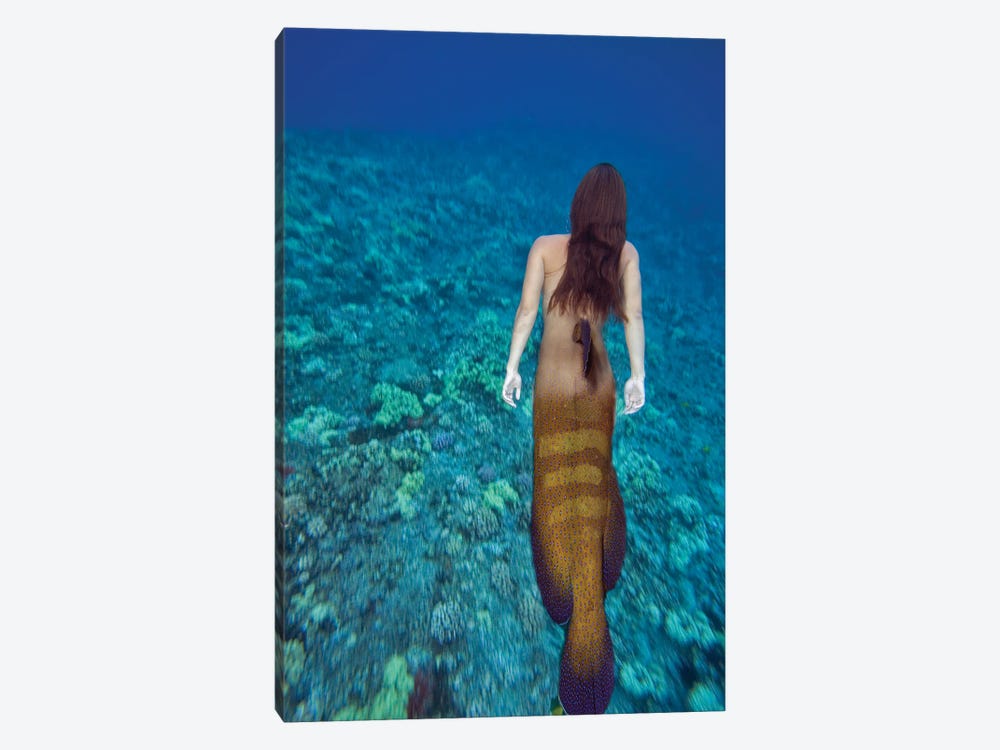 Digital Composite Of A Mermaid And Ocean Scene I by David Fleetham 1-piece Canvas Art