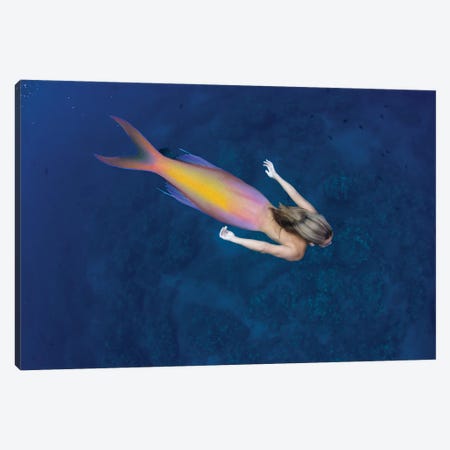 Digital Composite Of A Mermaid And Ocean Scene II Canvas Print #DFH164} by David Fleetham Canvas Art