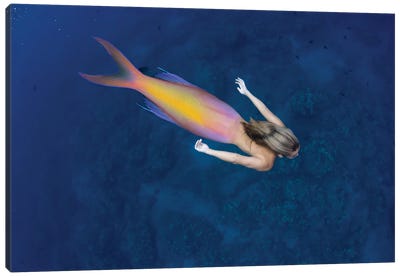 Digital Composite Of A Mermaid And Ocean Scene II Canvas Art Print - David Fleetham