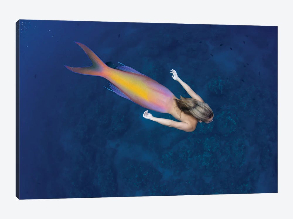 Digital Composite Of A Mermaid And Ocean Scene II by David Fleetham 1-piece Canvas Art Print
