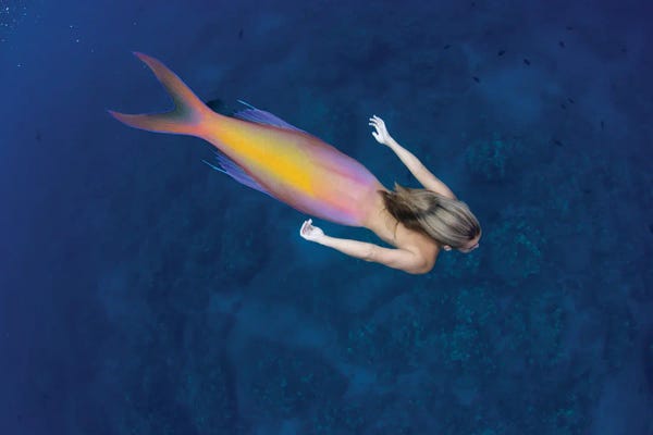 David Fleetham: Digital Composite Of A Mermaid And Ocean Scene II by David Fleetham