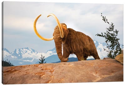 Digital Illustration Of A Woolly Mammoth, Mammuthus Primigenius Canvas Art Print - Prehistoric Animal Art