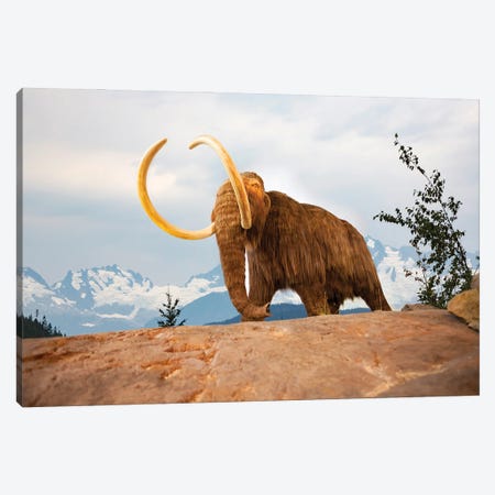 Digital Illustration Of A Woolly Mammoth, Mammuthus Primigenius Canvas Print #DFH165} by David Fleetham Canvas Artwork