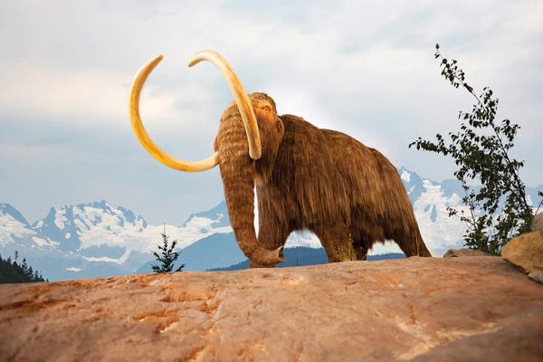 David Fleetham: Digital Illustration Of A Woolly Mammoth, Mammuthus Primigenius by David Fleetham