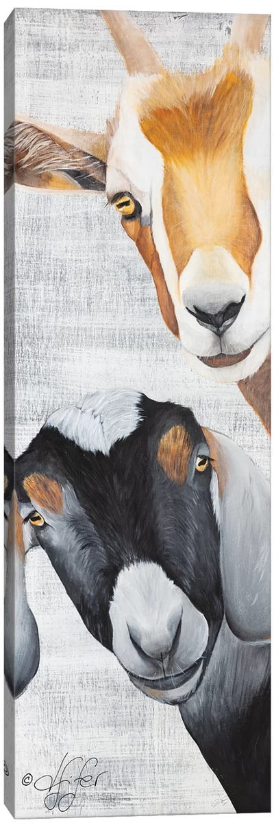 Shenanigans Canvas Art Print - Goat Art