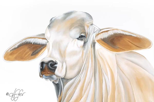 Diane Fifer: Wrinkles Can Be Beautiful by Diane Fifer