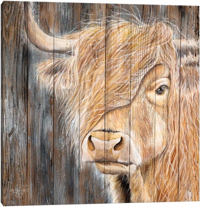 A Windy Day On The Farm Canvas Art Print - Highland Cow Art