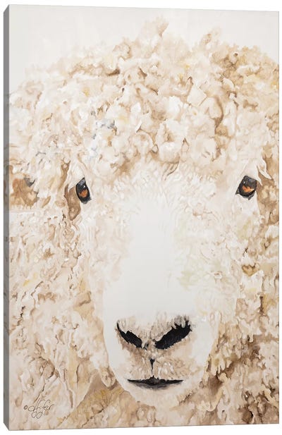 Woolly Canvas Art Print - Sheep Art