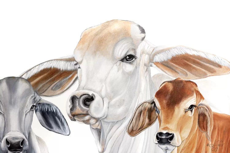 Ranch Life   by Diane Fifer wall art