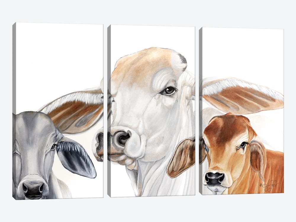 Ranch Life   by Diane Fifer 3-piece Canvas Print