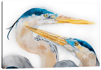 The Dance Canvas Art Print - Pelican Art