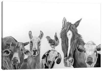 Farm Crew Canvas Art Print - Llama & Alpaca Art