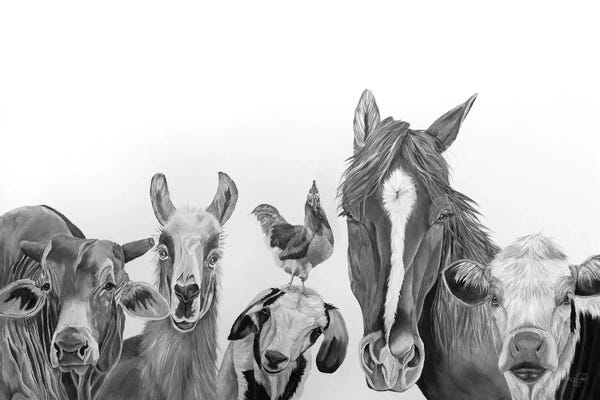 Llamas & Alpacas: Farm Crew by Diane Fifer