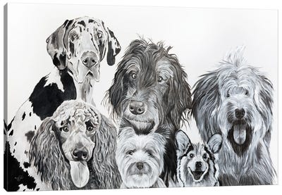 Lots Of Dogs Canvas Art Print