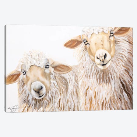 Ba Ba White Sheep Canvas Print #DFI3} by Diane Fifer Art Print