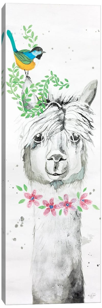 Twinkle The Alpaca Canvas Art Print - Llama & Alpaca Art