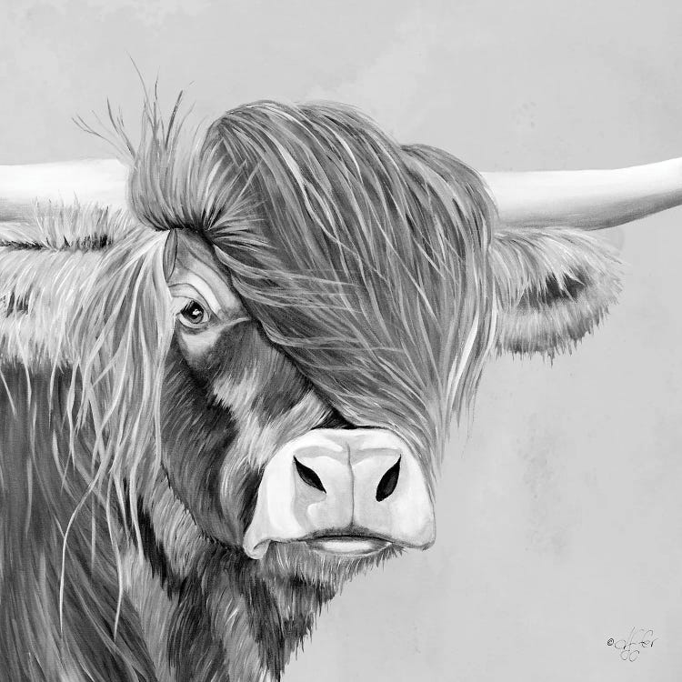 Shaggy Highland by Diane Fifer wall art