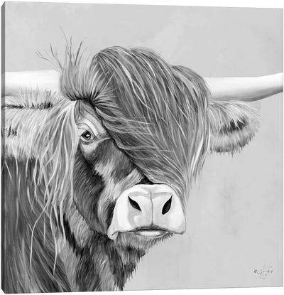 Shaggy Highland Canvas Art Print