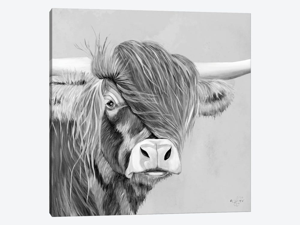 Shaggy Highland by Diane Fifer 1-piece Canvas Art Print