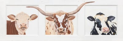 Farm Friends by Diane Fifer acrylic art print