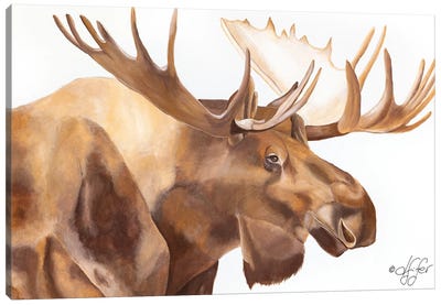 Moose Be Single Canvas Art Print
