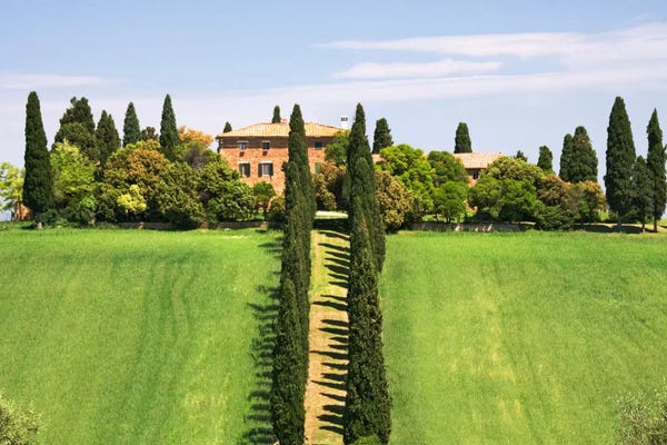 Cypress Trees: Country Estate, Val d'Orcia, Tuscany Region, Italy by Dennis Flaherty