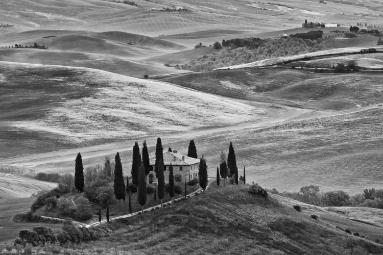 Countryside Landscape In B&W, San Quirico d'Orcia, Siena Province, Tuscany Region, Italy by Dennis Flaherty wall art