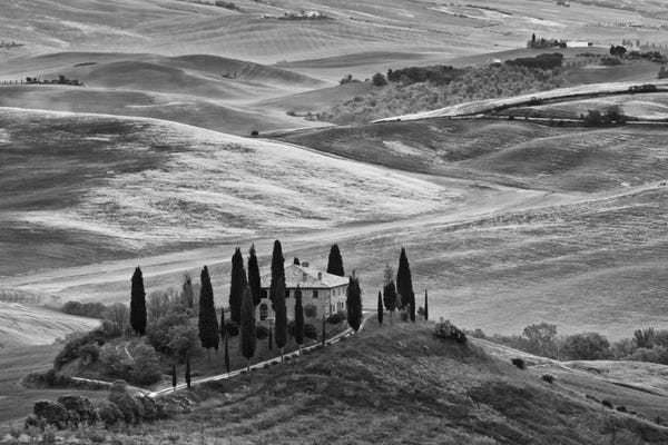 Countryside Landscape In B&W, San Quirico d'Orcia, Siena Province, Tuscany Region, Italy