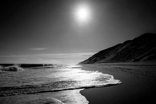 Coastal Sand Dunes: Against the Dune by Doug Foulke
