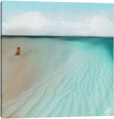 Dog On The Beach Canvas Art Print - Darla Ferrara