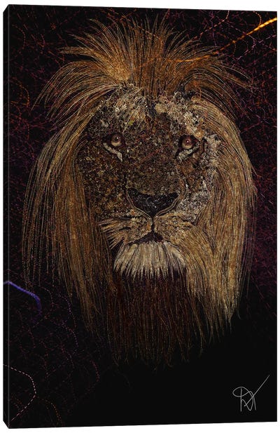 Lion In Gold Canvas Art Print - Darla Ferrara