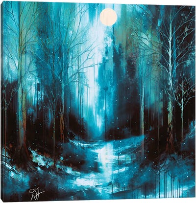 Snowy Blue Forrest Canvas Art Print - Darla Ferrara