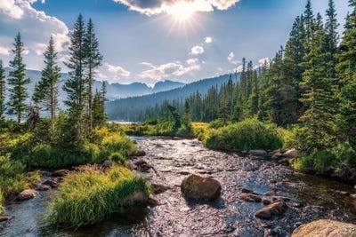 Daniel Forster - Canvas Prints: Colorado Rocky Mountains Wilderness Landscape by Daniel Forster