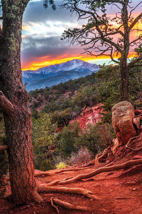 Daniel Forster: Sunset Over Pikes Peak - Garden Of The Gods Hiking Trail In Colorado Springs by Daniel Forster