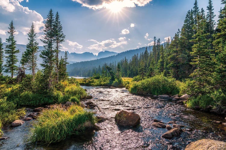 Daniel Forster: Colorado Rocky Mountains Wilderness Landscape by Daniel Forster
