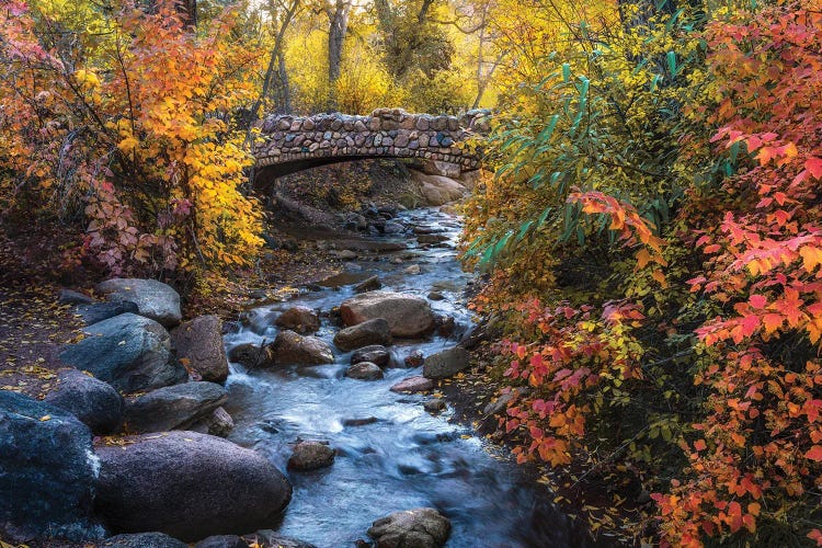 Colorado Springs Fall Colors - North Cheyenne Creek Autumn Scenery