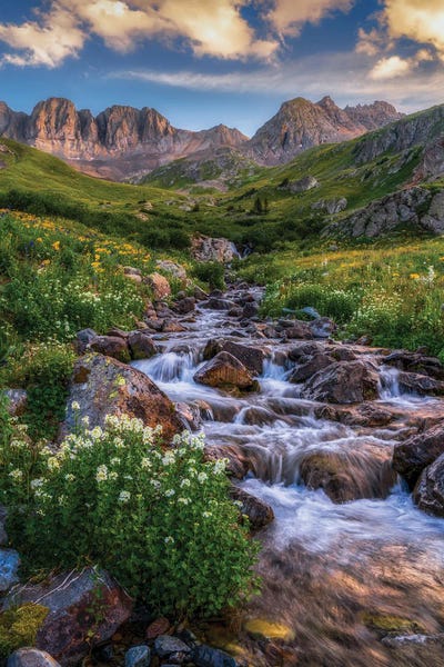 Wildflowers: Beautiful Creek Flowing American Basin - San Juan Mountains Colorado Summer Scenery by Daniel Forster