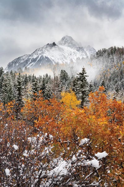 Daniel Forster - Canvas Prints: Mount Sneffels Autumn Snowstorm - Colorado's San Juan Mountains Snowy Fall Colors Scenery by Daniel Forster
