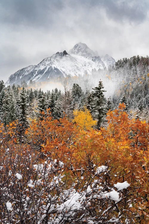 Daniel Forster: Mount Sneffels Autumn Snowstorm - Colorado's San Juan Mountains Snowy Fall Colors Scenery by Daniel Forster
