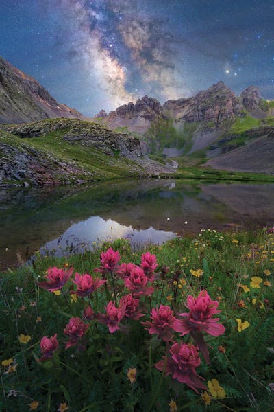 Colorado: San Juan Mountains Indian Paintbrush Wildflower Milky Way Nightscape by Daniel Forster