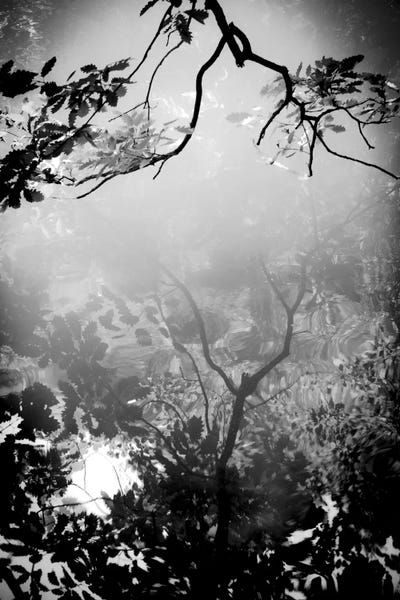 Hyperreal Photography: Daydream by Dorit Fuhg