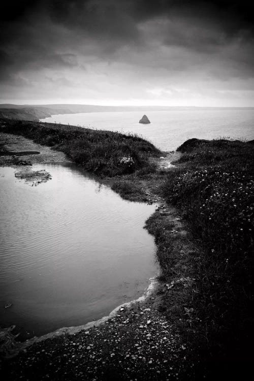 Puddle & Pond by Dorit Fuhg wall art