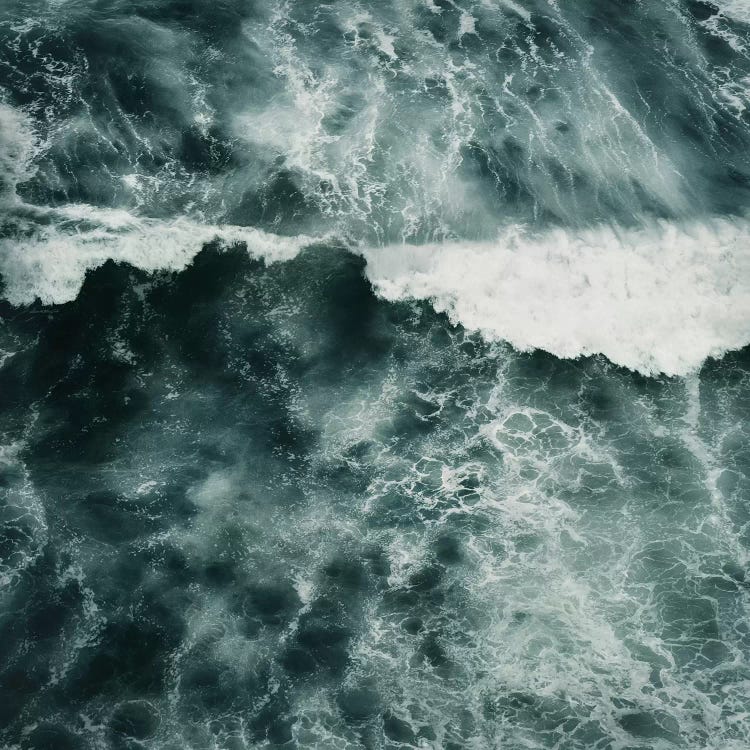 Aqua II by Dorit Fuhg wall art