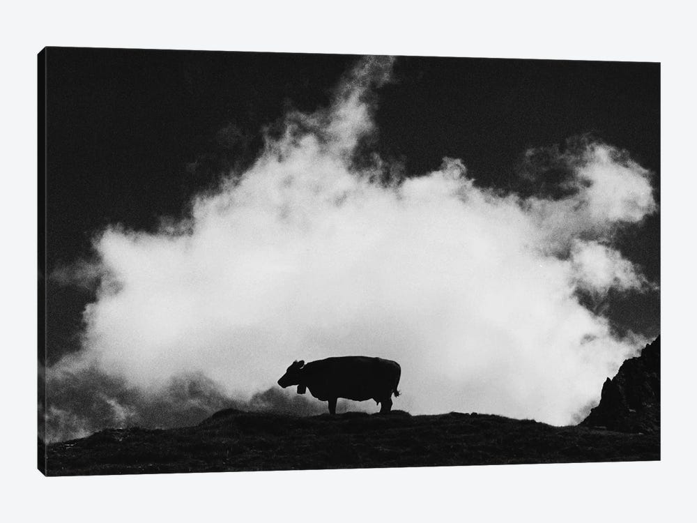 Cow And Cloud by Dorit Fuhg 1-piece Canvas Print