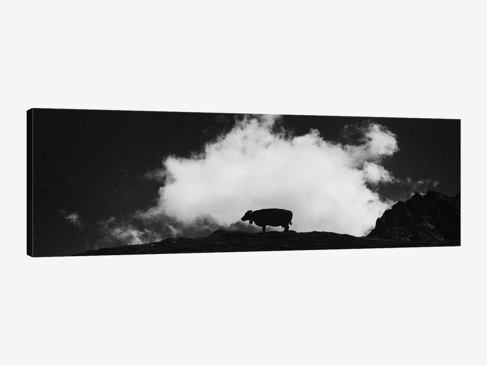 Cow And Cloud Panoramic by Dorit Fuhg 1-piece Canvas Artwork