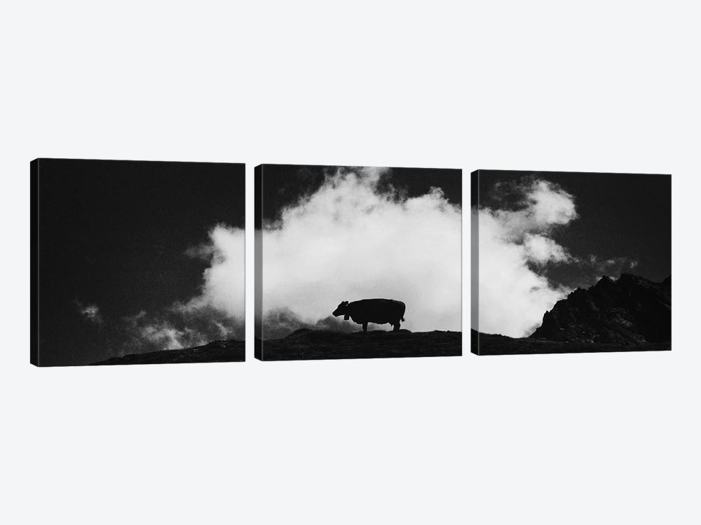 Cow And Cloud Panoramic by Dorit Fuhg 3-piece Canvas Artwork