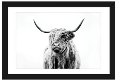 Portrait Of A Highland Cow Paper Art Print - Bedroom Art