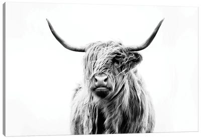 Portrait Of A Highland Cow Canvas Art Print - Black & White Decorative Art