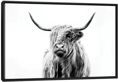 Portrait Of A Highland Cow Canvas Art Print - All Products