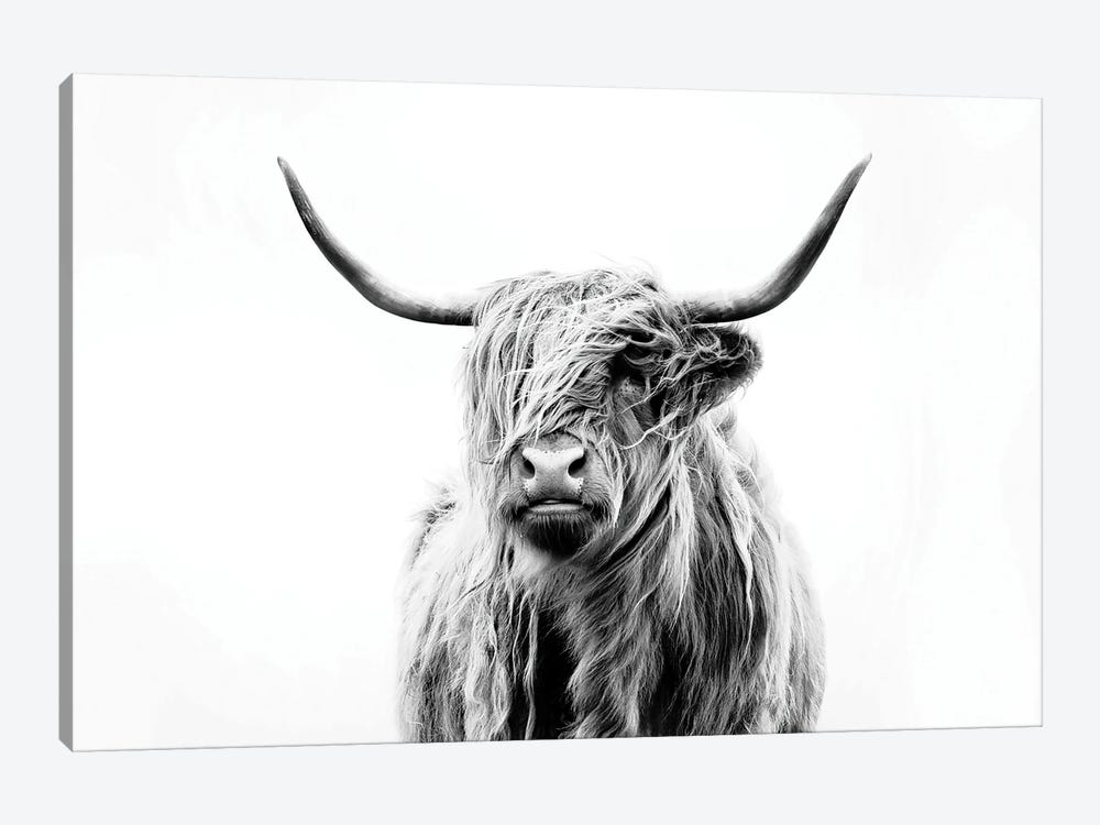 Portrait Of A Highland Cow 1-piece Canvas Artwork